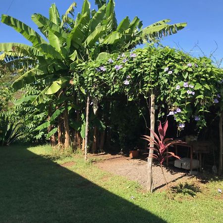 Willa Les Hibiscus Ambondrona  Zewnętrze zdjęcie