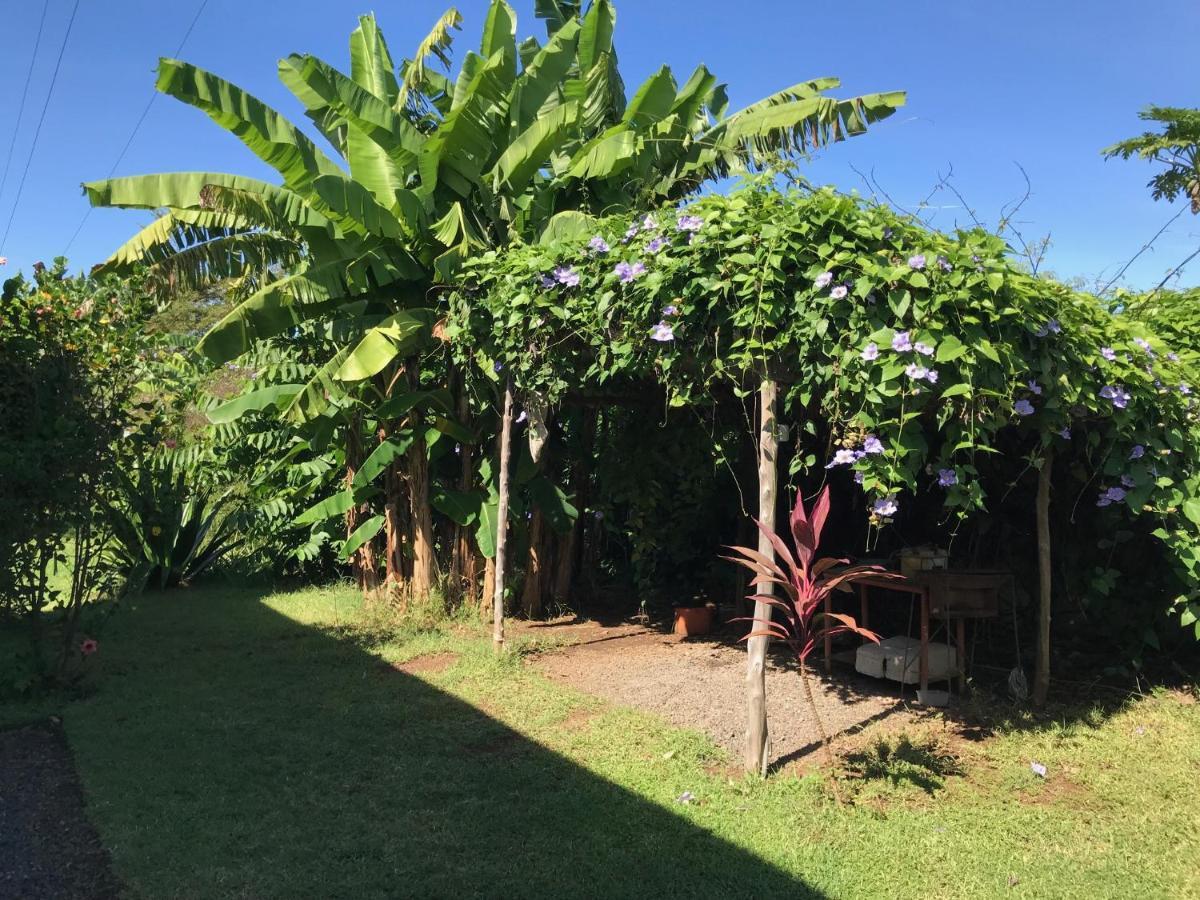 Willa Les Hibiscus Ambondrona  Zewnętrze zdjęcie